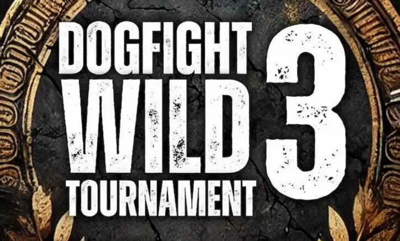 Dogfight Wild Tournament 3 Guía