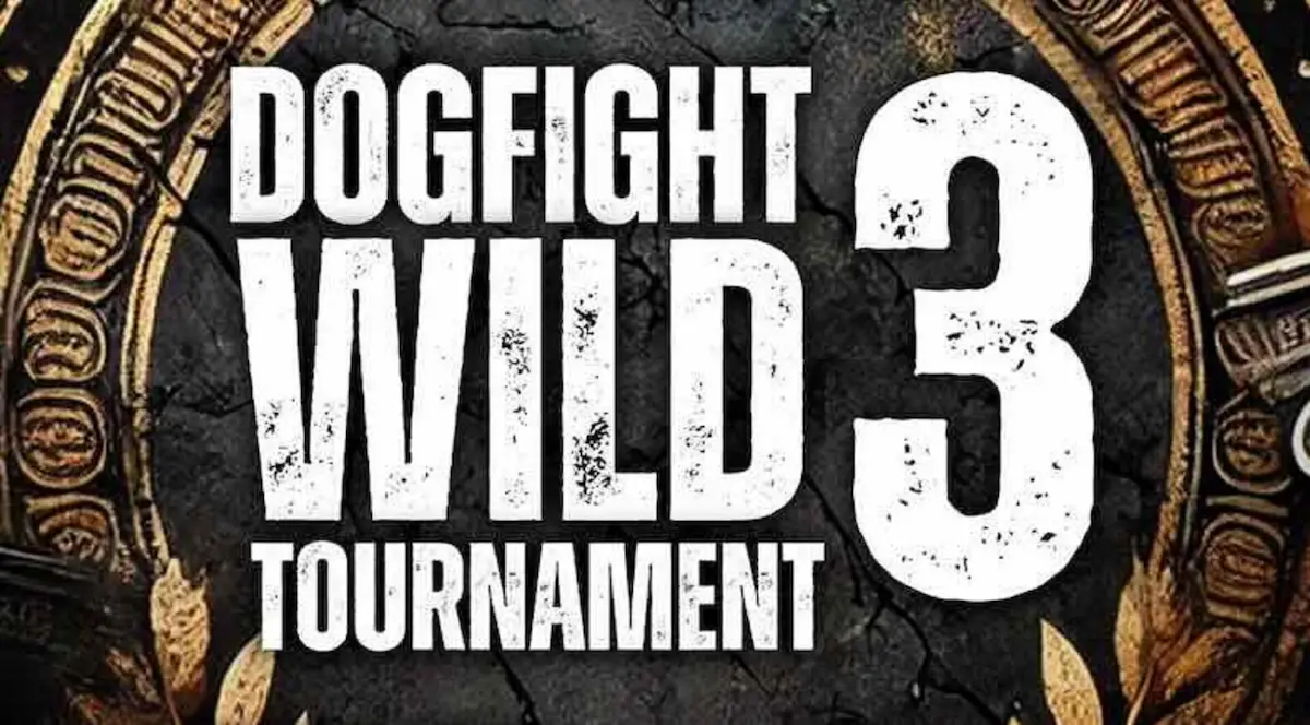 Dogfight Wild Tournament 3 Guía